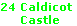 24 Caldicot
     Castle