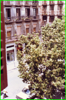1992 Europe 004 View from hotel room.jpg